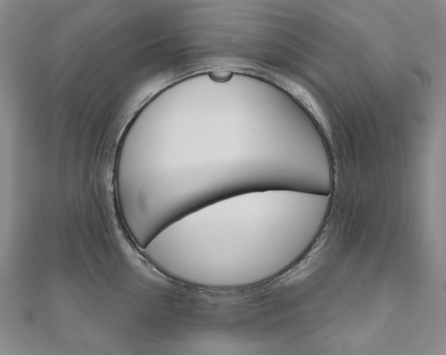 X0000110960954200906191047