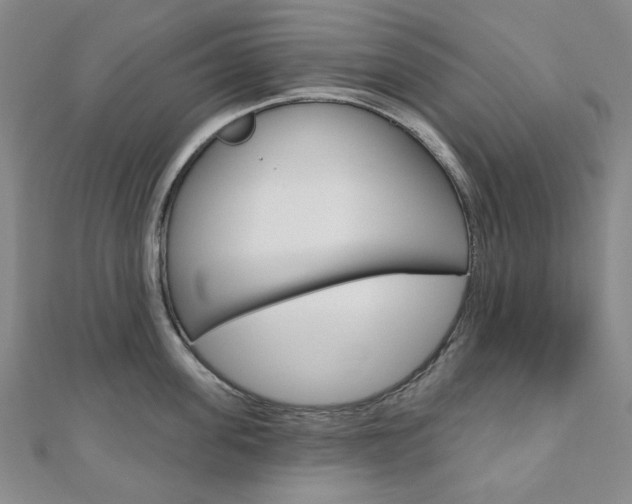 X0000110960955200906191047