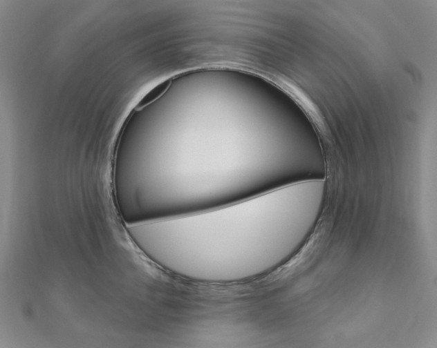 X0000110960956200906191047