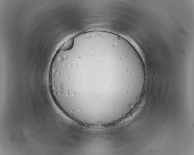 X0000110960957200906191047