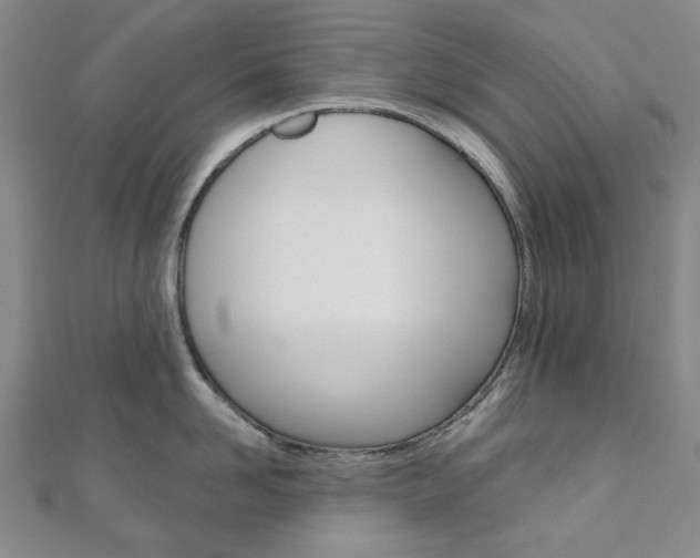 X0000110960958200906191047