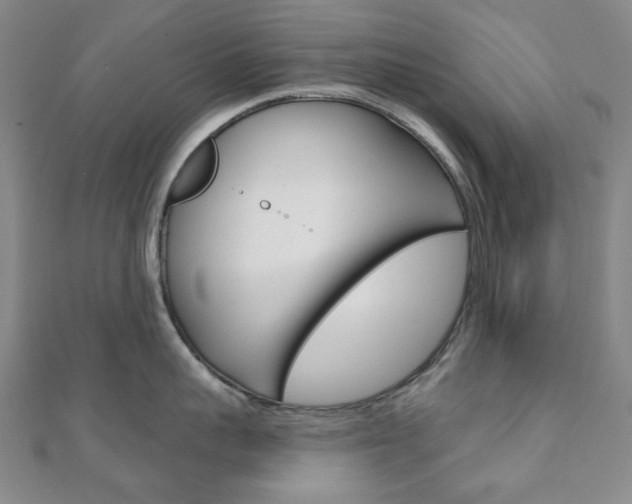 X0000110960959200906191047