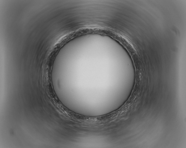 X0000110960968200906191046