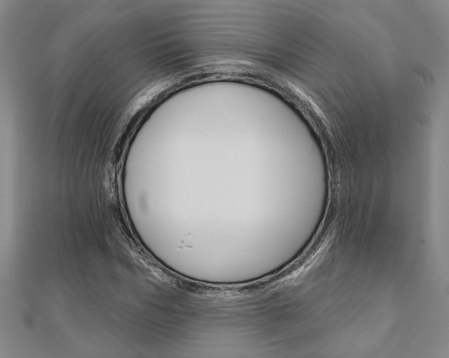 X0000110960970200906191046