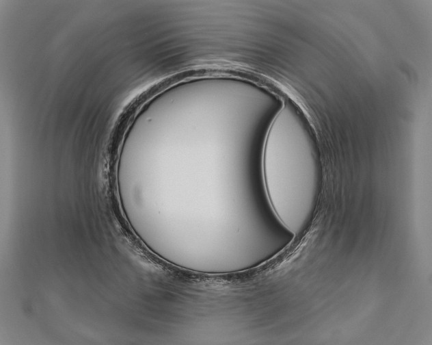 X0000110960971200906191046