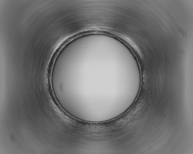 X0000110960972200906191046