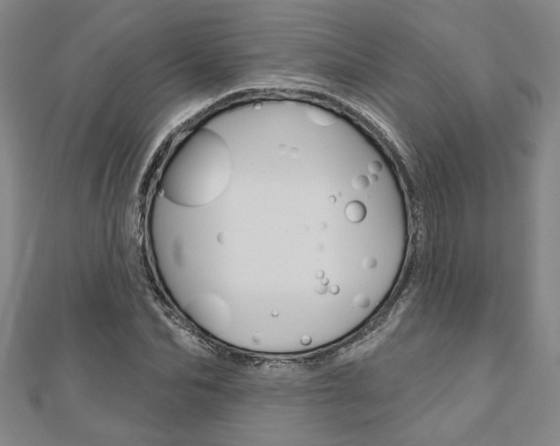 X0000110960974200906191046