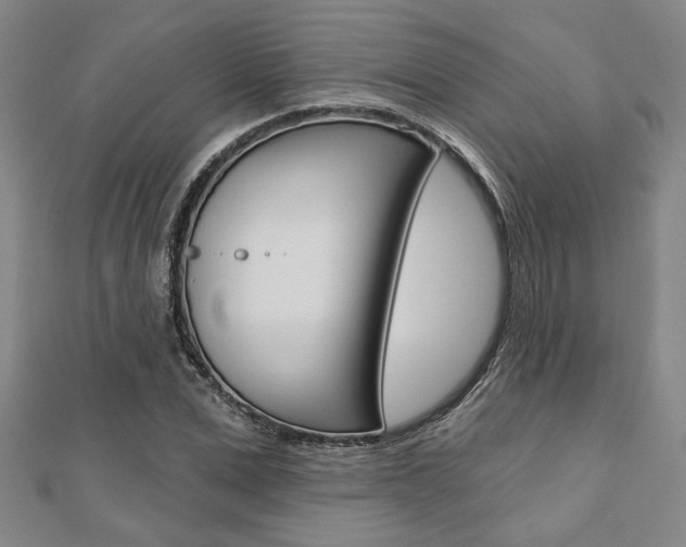 X0000110960975200906191046