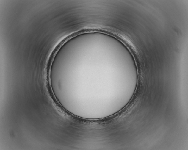 X0000110960976200906191046
