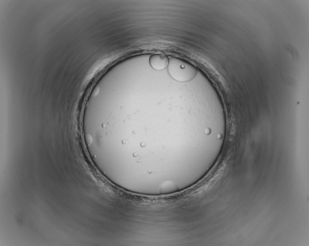 X0000110960978200906191046