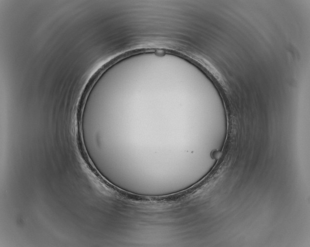 X0000110960980200906191046