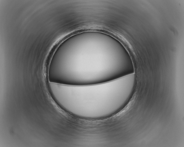 X0000110960981200906191046