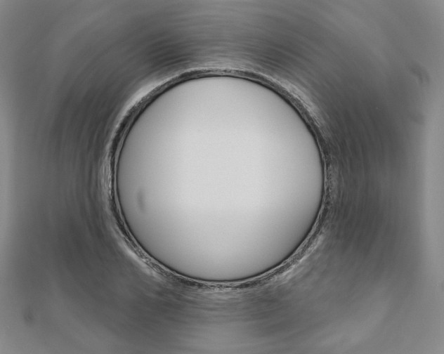 X0000110960982200906191046