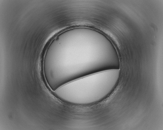 X0000110960983200906191046