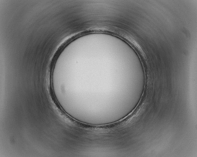 X0000110960984200906191046
