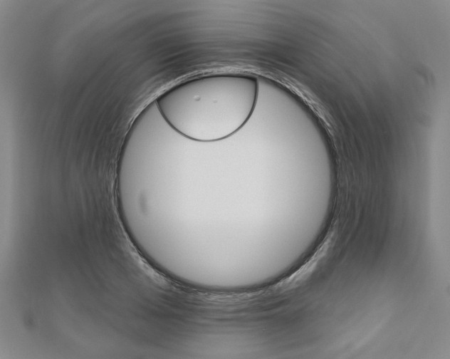 X0000110960985200906191046