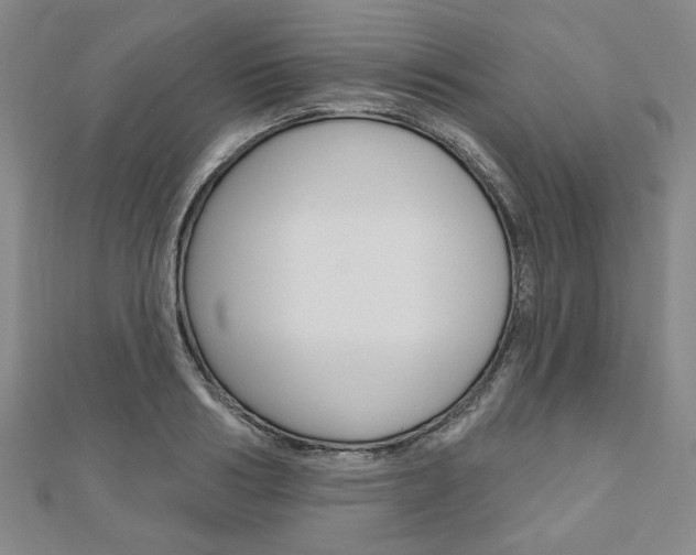 X0000110960986200906191046