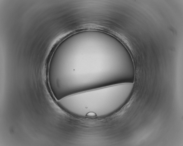 X0000110960987200906191046