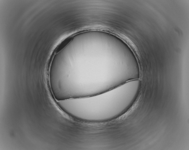 X0000110960989200906191046
