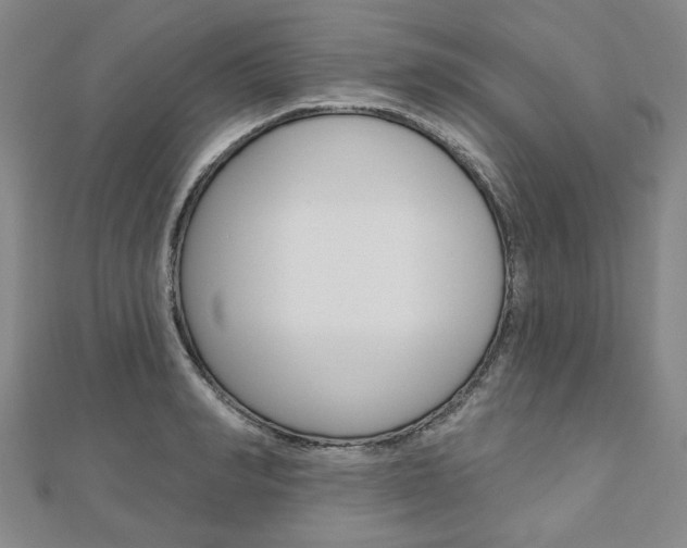 X0000110960990200906191046