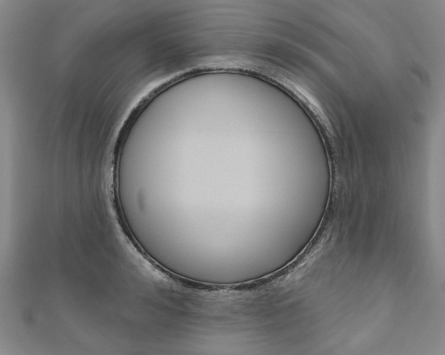 X0000110960992200906191046