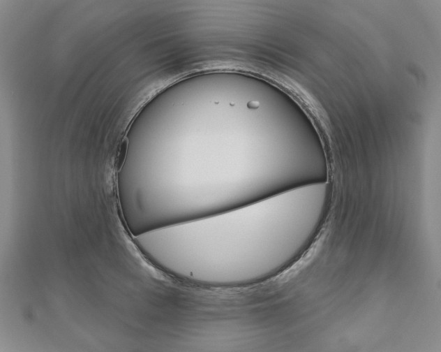 X0000110960993200906191046