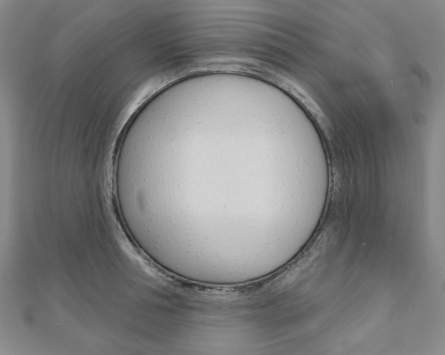 X0000110960994200906191046