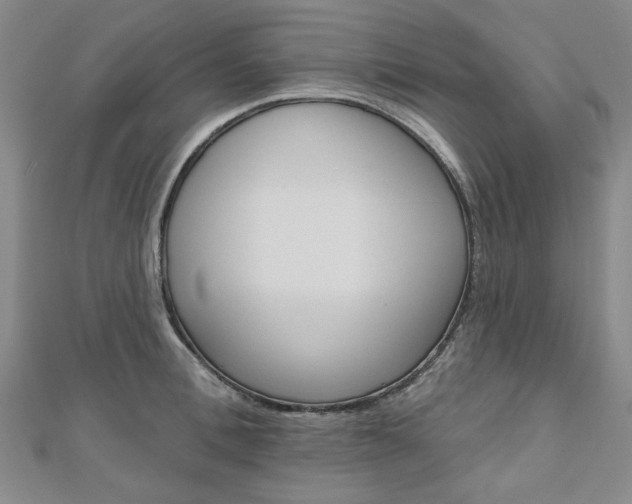 X0000110960996200906191046
