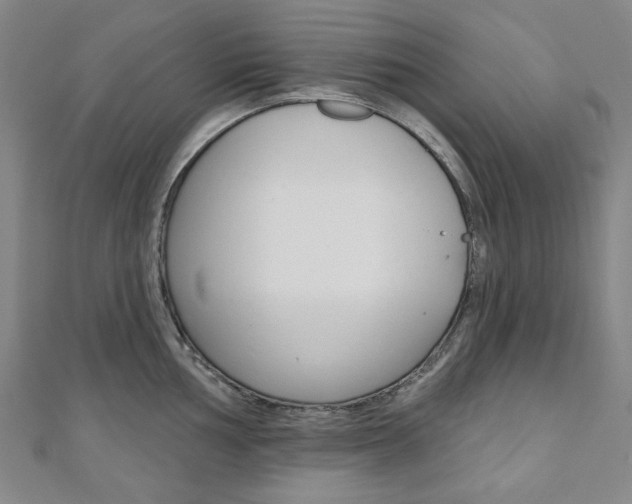 X0000110961002200906191046