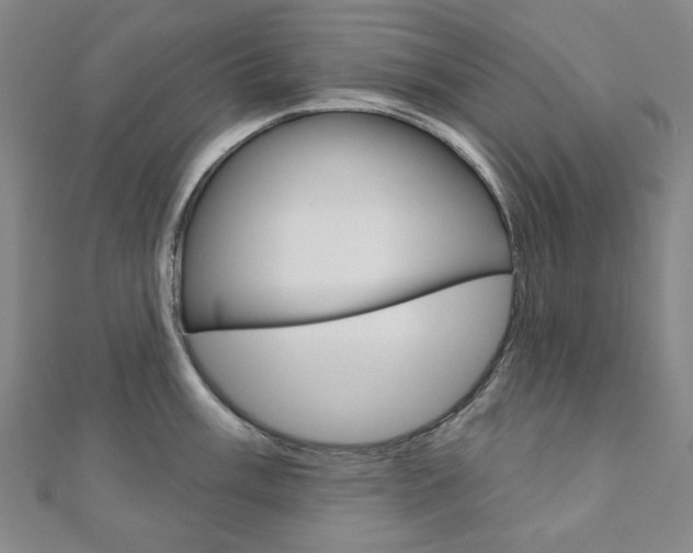 X0000110961003200906191046