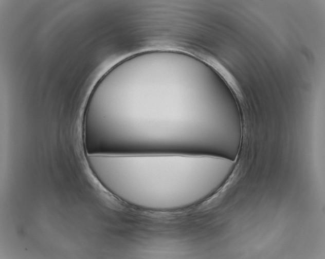 X0000110961004200906191046