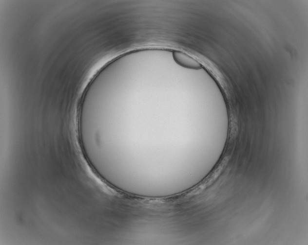 X0000110961006200906191046
