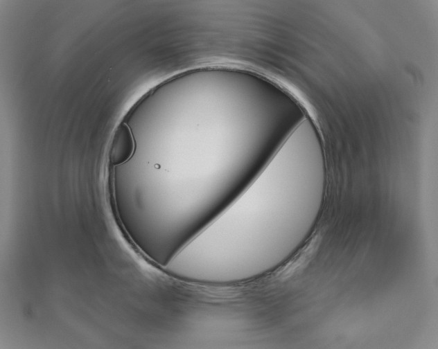 X0000110961007200906191046
