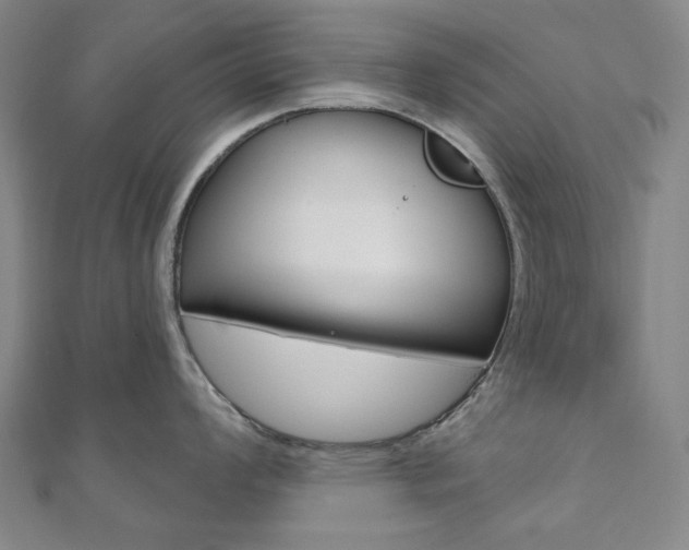 X0000110961008200906191046