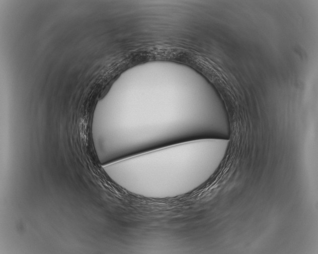 X0000110961010200906191045