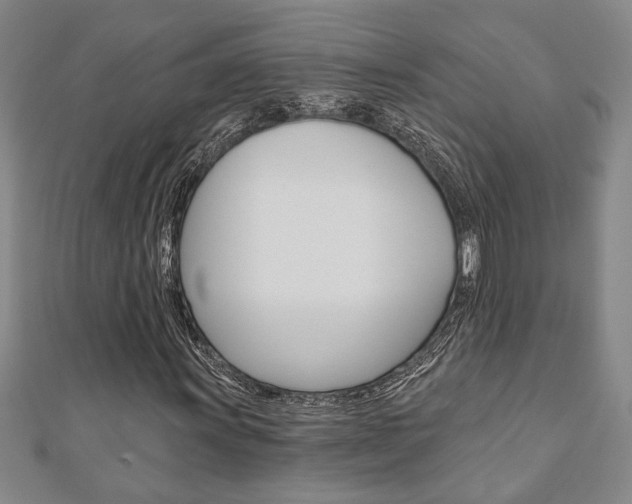 X0000110961011200906191045