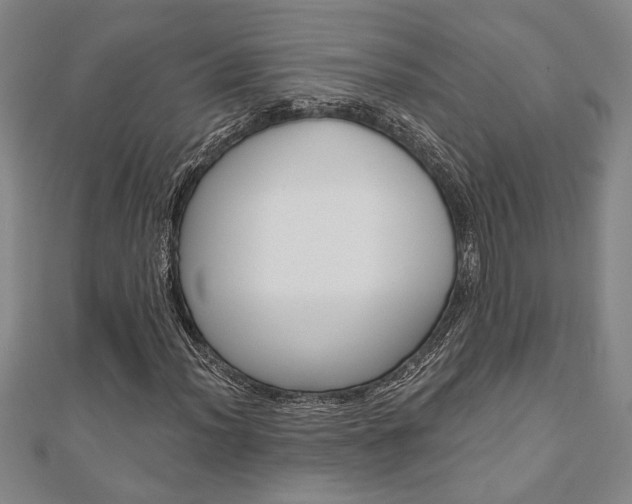 X0000110961012200906191045