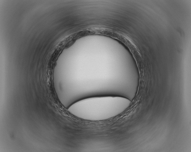 X0000110961016200906191045
