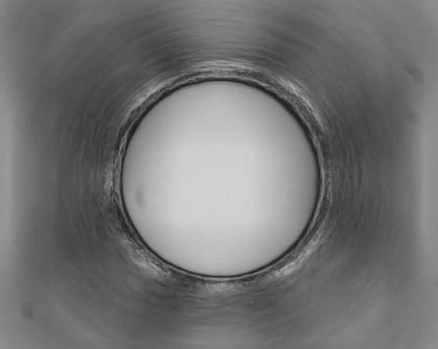 X0000110961017200906191045