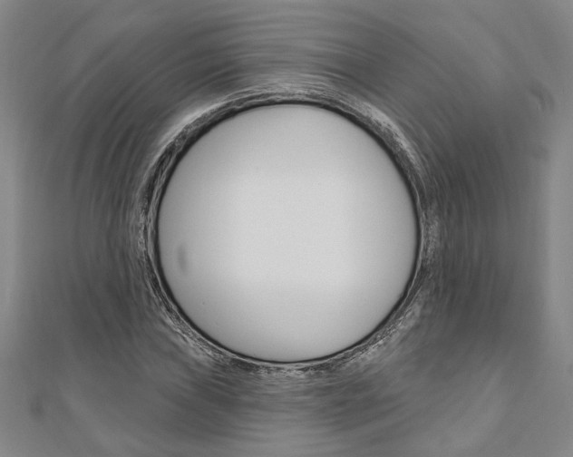 X0000110961019200906191045