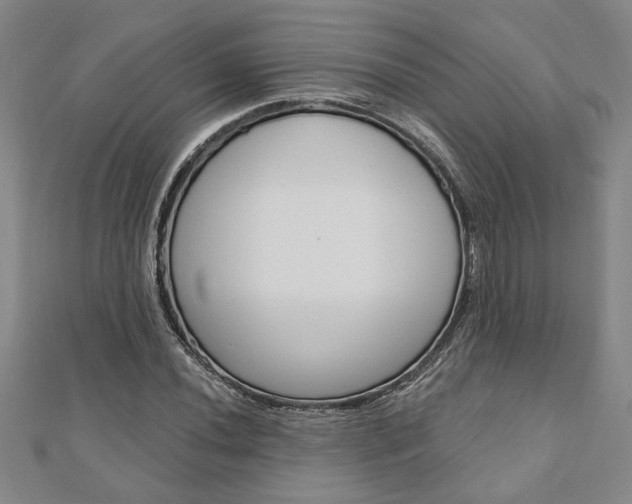 X0000110961020200906191045