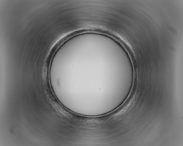 X0000110961021200906191045