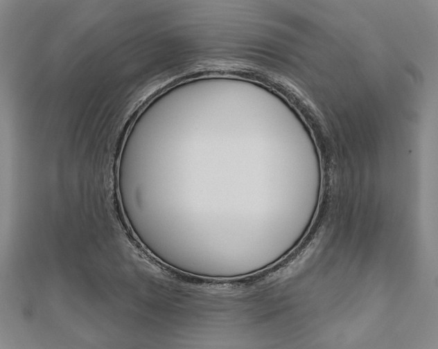 X0000110961025200906191045