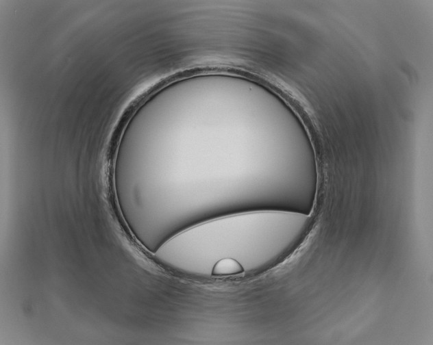 X0000110961029200906191045
