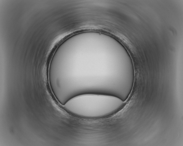 X0000110961030200906191045