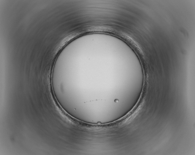 X0000110961033200906191045