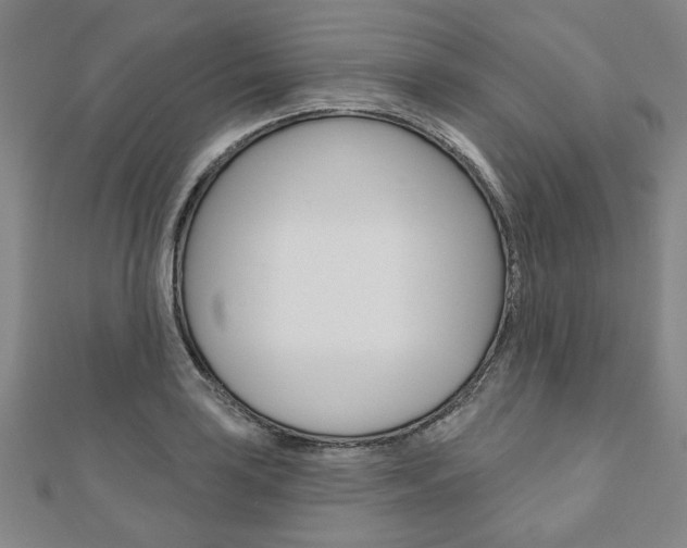 X0000110961035200906191045