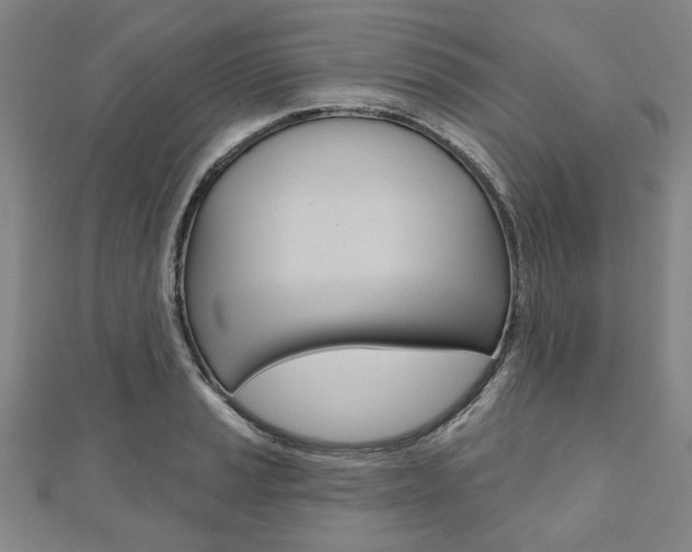 X0000110961037200906191045