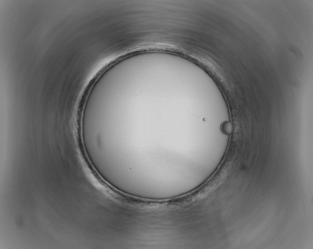 X0000110961038200906191045