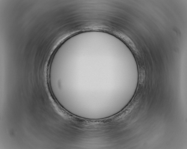 X0000110961039200906191045